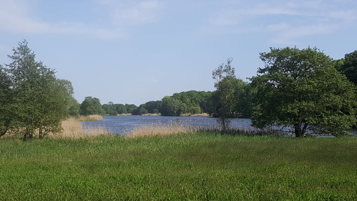 Barumer See bei Lüneburg